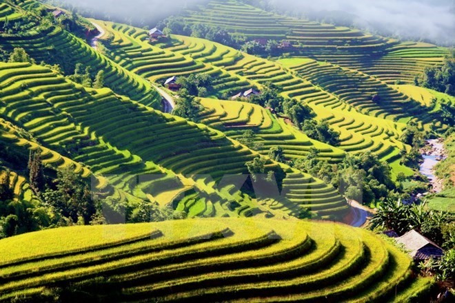 2015 Culture and Tourism Week of Hoang Su Phi terraced rice fields opens - ảnh 1
